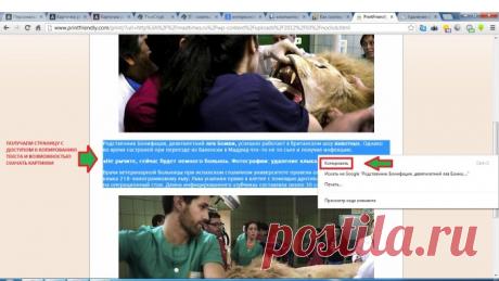 Как скопировать со страницы не копируемый текст