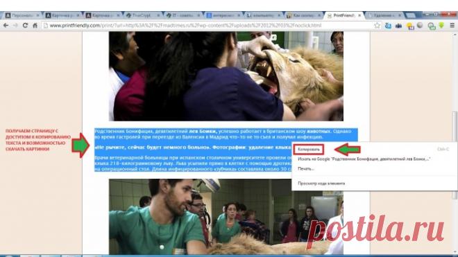 Как скопировать со страницы не копируемый текст