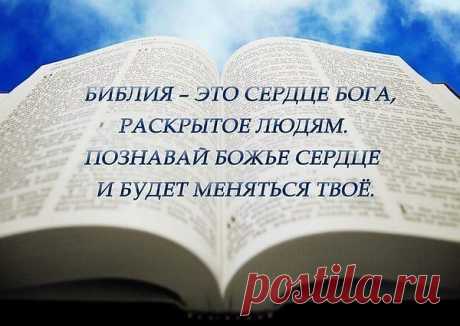 Не позволяй льстецам себя завлечь:
В корысти все негодники едины.
Беседуя, цени не чин, а речь:
Неважно, кто сказал, важны причины. 

Кто сокрушил в себе прибежище гордыни,
Богатства вечности даны тому отныне.
А если гордость и во мне нашла обитель,
Найдется ль для богатств другой хранитель?А.Н