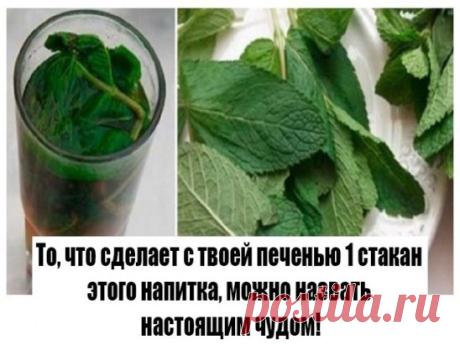 То, что сделает с твоей печенью 1 стакан этого напитка, можно назвать настоящим чудом!
Если печень перегружена или плохо работает, мы сразу же это чувствуем. Слабость, нехватка энергии, головокружение, тошнота, боль в правом подреберье, проблемы с пищеварением и кожная сыпь — всё это признаки того, что с печенью непорядок.
Очищение печени в домашних условиях возможно благодаря простому рецепту мятно-лимонного напитка! Абсолютно безопасное средство, которое тут же улучшает состояние организма,