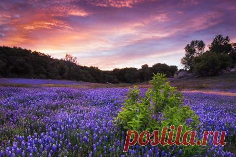 Aly Belichenko – Google+