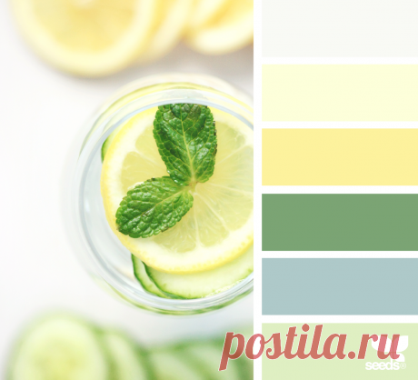 design seeds | for all who ♥ color