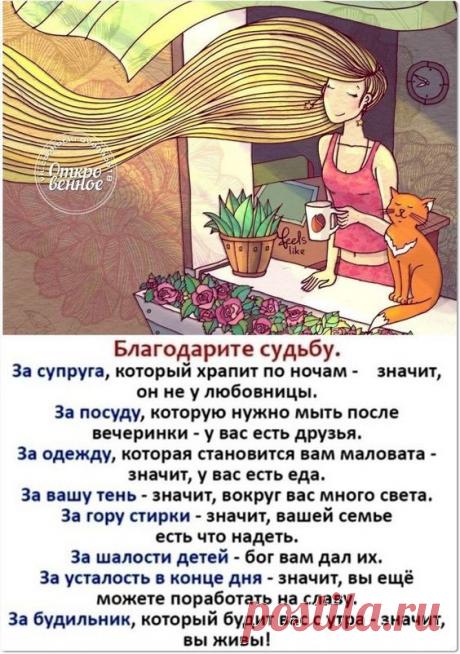 Закладки - Алла - комментарии