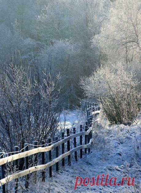 Интересные новости