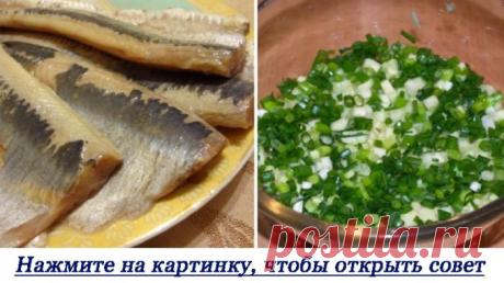 Забудь о селедке под шубой — вот блюдо, в котором эта рыба еще вкуснее! Достаточно просто выложить всё слоями… — Полезные советы