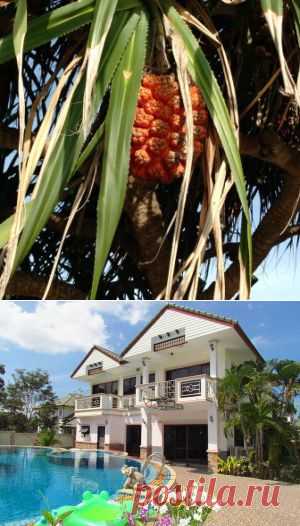 Недвижимость в Тайланде | Купить Недвижимость в Тайланде