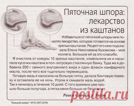 Пяточная шпора: лекарство из каштанов