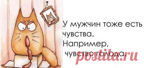 Прикольные высказывания в картинках