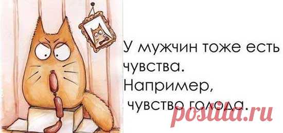 Прикольные высказывания в картинках