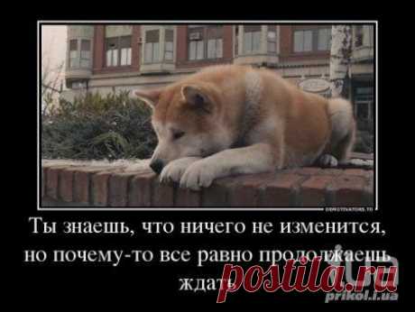 Просто быть рядом | Обхохочешься