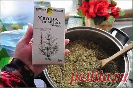 Чудо-травка для волос / Царский пир