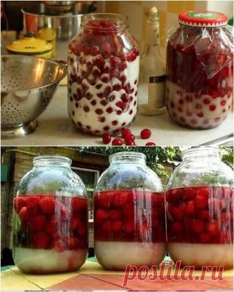Наливочка вишневая «Сахарная» без спирта и водки — рецепт для тех, кто любит сладкие легкие наливки!


Вкуснейшая вишнeвая наливка, которая готовится без добавления спирта, ягоды смешиваются с сахаром и ставятся для брожения.

По этому же рецепту можно готовить наливки из других ягод – смородины, малины, сливы, винограда и др. Например, очень ароматная и вкусная наливка получается из чeрной смородины. Вкус наливки зависит от сорта ягод, старайтесь выбирать самые сладкие и ...