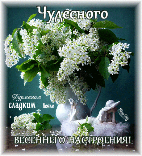 ღஐღ Желаю счастья в каждом новом дне! ღஐღ