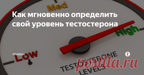 Как мгновенно определить свой уровень тестостерона Посмотрите на свою ладонь правой руки, поместив ее перед собой на уровне лица. Ваш безымянный палец значительно длиннее указательного?
Если это так, считайте себя счастливчиком. Кажется, что размер этого пальца, а точнее соотношение длины безымянного и указательного пальцев сильно коррелирует не только с уровнем тестостерона, но и с успехами в различных видах спорта, включая футбол, баскетбол, фех