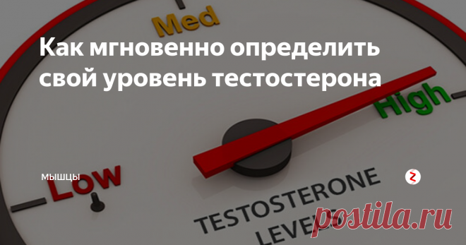 Как мгновенно определить свой уровень тестостерона Посмотрите на свою ладонь правой руки, поместив ее перед собой на уровне лица. Ваш безымянный палец значительно длиннее указательного?
Если это так, считайте себя счастливчиком. Кажется, что размер этого пальца, а точнее соотношение длины безымянного и указательного пальцев сильно коррелирует не только с уровнем тестостерона, но и с успехами в различных видах спорта, включая футбол, баскетбол, фех