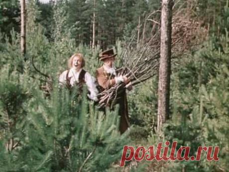 Дорога-Гардемарины вперед