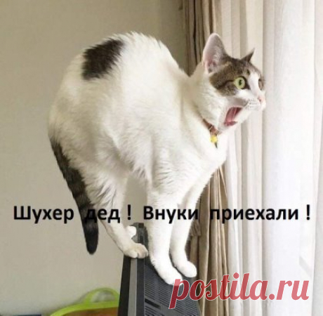 Прячемся