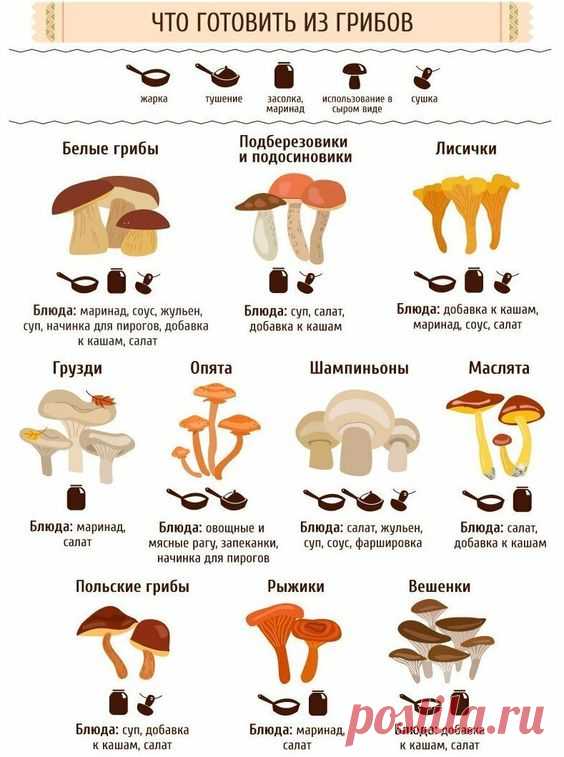 Pinterest (Пин) (34)