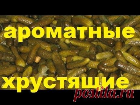 СОЛЕНЫЕ БОЧКОВЫЕ ОГУРЦЫ в БАНКАХ ПРОСТОЙ РЕЦЕПТ это лучший рецепт хрустящих огурцов