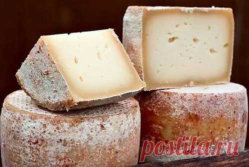 Все о сырах с рецептами и советами