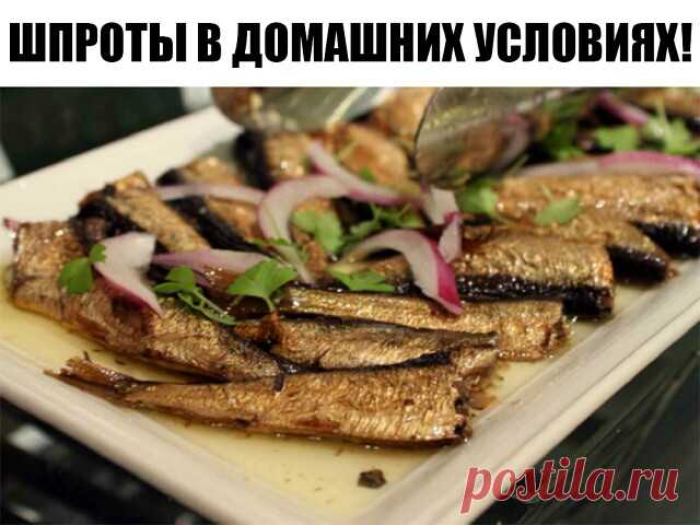 ШПРОТЫ в домашних условиях!
Скажу сразу, по вкусу получается ну ни капли не отличимо от магазинных шпрот .

1 кг рыбы (килька, мойва).

Для заливки на 1 кг рыбы:

2 горсти луковой шелухи (она дает и цвет и подкопченый вкус. И заметьте, без всякого копчения, жидкого дыма и канцерогенов!),
1 столовая ложка соли,
1 чайная сахара,
1 стакан очень крепкой чайной заварки,
неполный стакан растительного масла,
7 лавровых листьев,
несколько горошин черного перца.