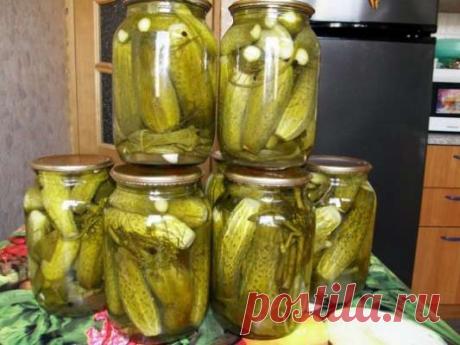 Маринованные огурцы — Дачный участок