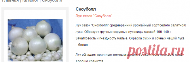 Сноуболл - Каталог - Лук севок, лук севок оптом, лук севок купить, лук севок цена