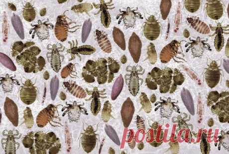 Типа на фиг...