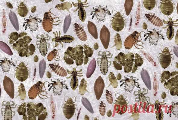 Типа на фиг...