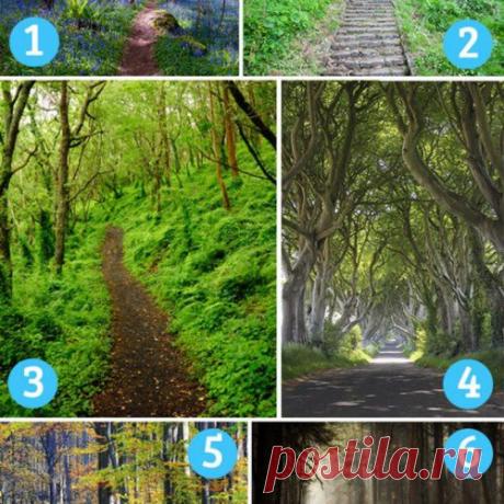 Выбери тропу, которая тебе пригляделась. Она расскажет, что тебя ждет не за горами...