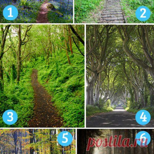 Выбери тропу, которая тебе пригляделась. Она расскажет, что тебя ждет не за горами...