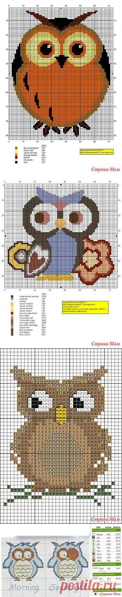 Вышивки. ЗАБАВНЫЕ СОВЫ: Дневник группы "Клуб рукоделия" - Страна Мам