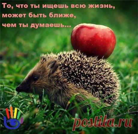 Наберись смелости, если хочешь что-то изменить. Наберись терпения, если что-то изменить невозможно. И будь мудрым, чтобы знать, когда нужна смелость, а когда терпение.