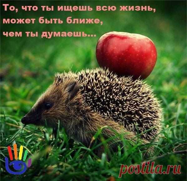 Наберись смелости, если хочешь что-то изменить. Наберись терпения, если что-то изменить невозможно. И будь мудрым, чтобы знать, когда нужна смелость, а когда терпение.