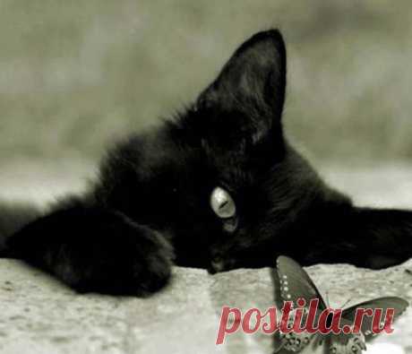 природа