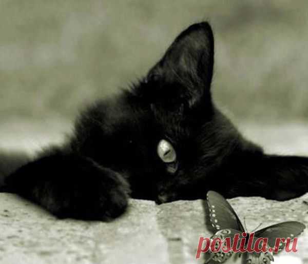 природа