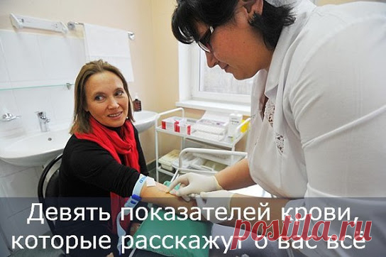 Девять показателей крови, которые расскажут о вас всё 
Что можно прочесть о своем здоровье по самому информативному анализу

Чем бы вы ни захворали, первым анализом, на который отправит вас грамотный врач, будет общий (общеклинический) анализ крови, расс…
