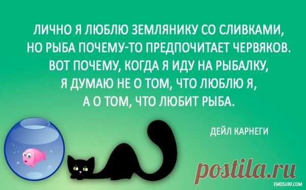 Мотивирующие цитаты для поднятия духа