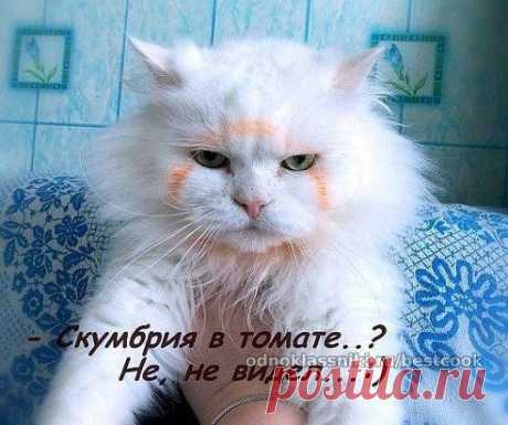 Совсем не видел))