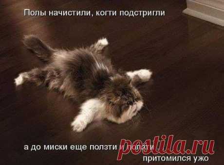 Интересные новости