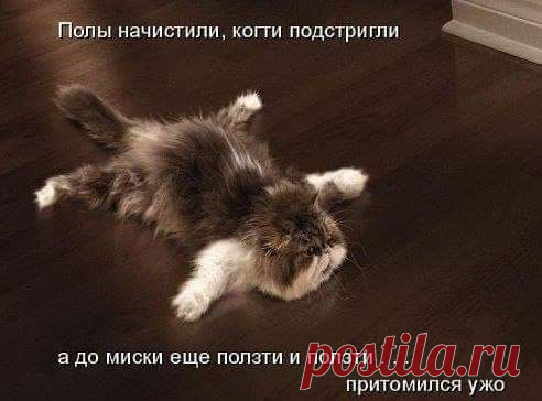 Интересные новости