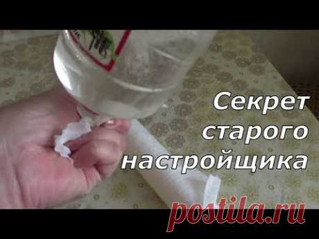 Как избавиться от МОЛИ  - просто и навсегда