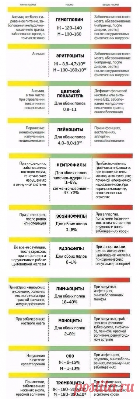 показатели крови норма.