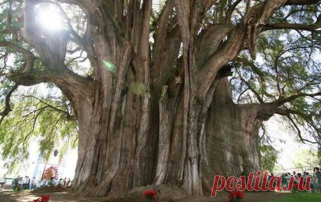 Природа — самый талантливый скульптор / Всё самое лучшее из интернета