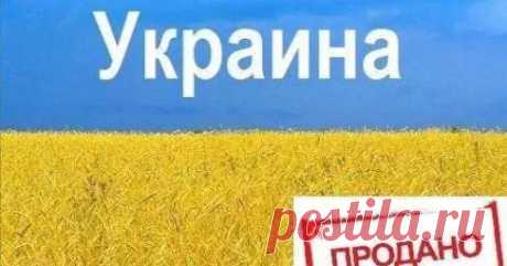 (99) савелий хаустов