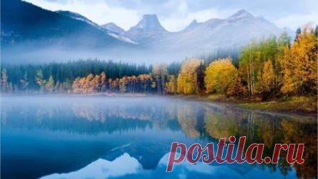 Autumn fog forests landscapes mist wallpaper | (86338)