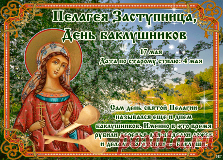 Поздравляю с Пелагеей Заступницей! В этот светлый майский день хочется пожелать, чтобы святая мученица оберегала ваш дом от всякого зла, обид и несправедливости, как бережет она юных птенцов. Открытки на Пелагея Заступница (День баклушников)!