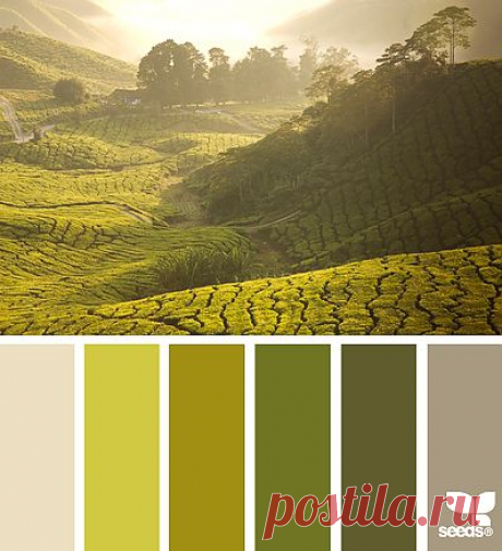 Design Seeds® | find your palette