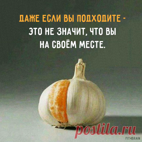 Мудро!