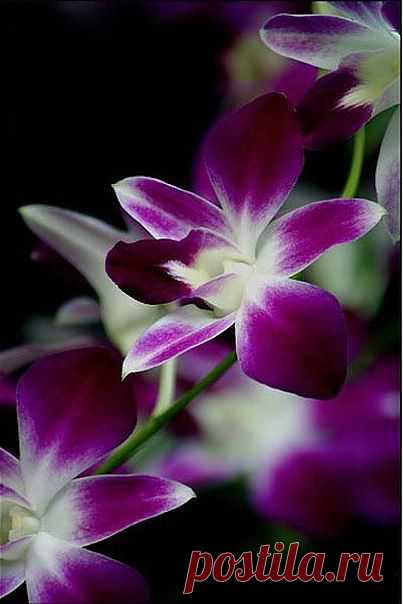 pcxHMFSBor4.jpg (403×604)